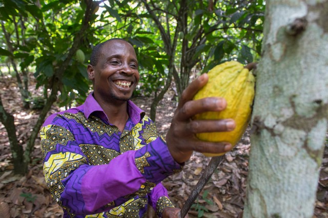 Landbouw_cacao_Ivoorkust.jpg