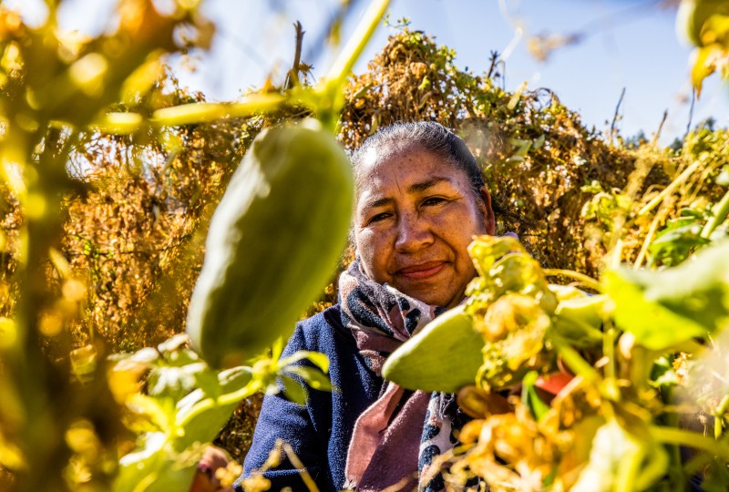 Microkrediet ondernemersverhaal Matilde, Bolivia