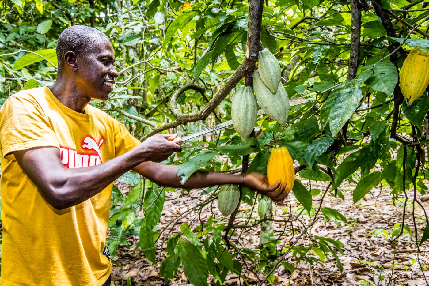 Cacaoboer Seraphin Kouamé.jpg