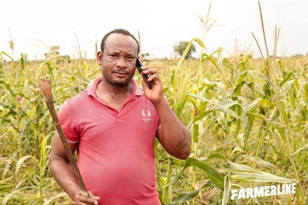 farmerline+photo