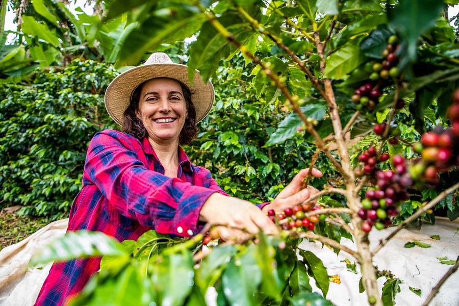 Coopfam Brazilie vrouwen koffiecooperatie