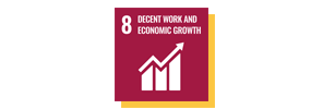 SDG8.png