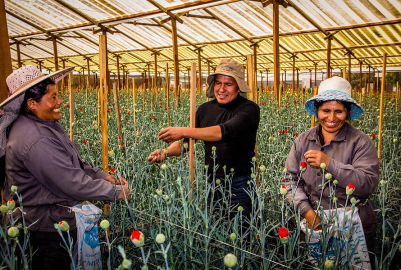 Microkrediet ondernemersverhaal Ernesto, Bolivia