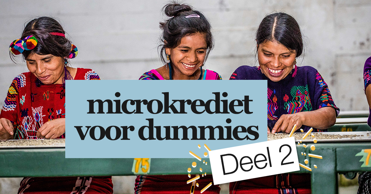 Microkrediet voor dummies 2.jpg