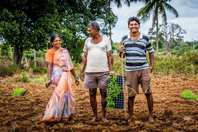 Landbouw_Ycook_India.jpg