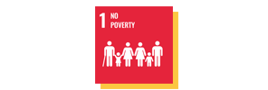 SDG1.png