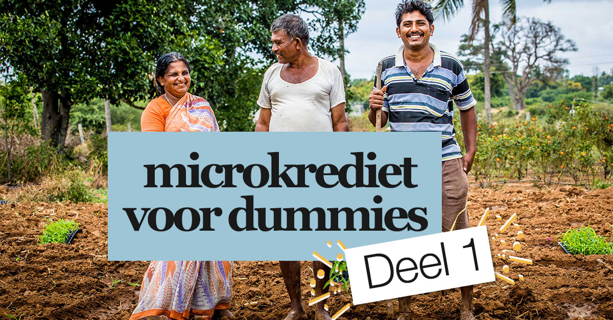 Microkrediet voor dummies.jpg