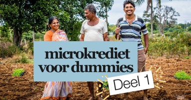 Microkrediet voor dummies.jpg
